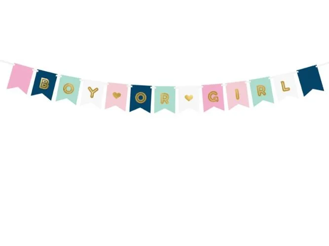 Μπάνερ για Gender Reveal "Boy or Girl" (175cm)