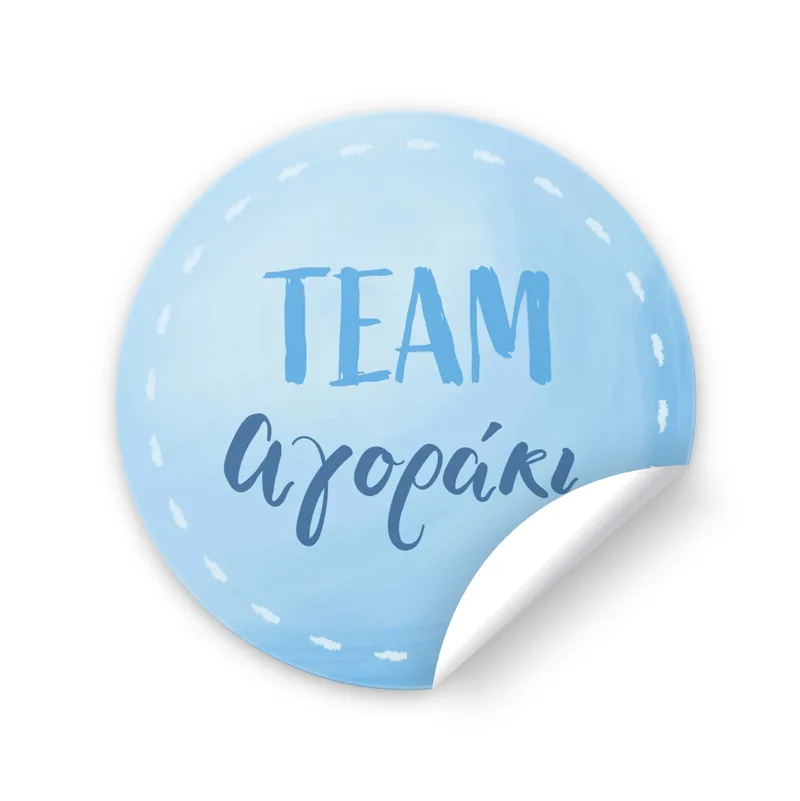 Αυτοκόλλητα για Gender Reveal - Team Αγοράκι (6 τεμ)