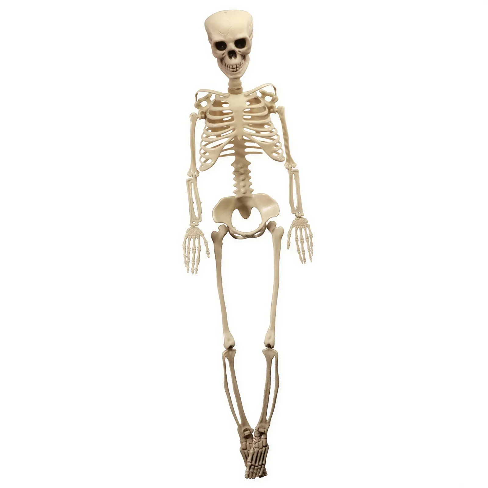 Τεράστιος Διακοσμητικός Σκελετός - Halloween (165 cm)