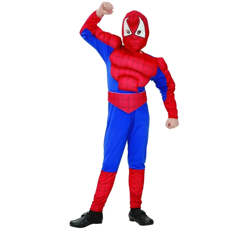 Αποκριάτικη Στολή - Spider Hero